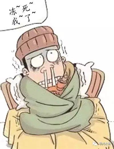 HUASIN | 铝包木门窗已成趋势 新家老房为何纷纷青睐？室内木门窗安装指南